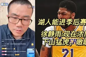 徐静雨分析湖人能否进季后赛以及季后赛前景（嗷嗷收拾前四）视频封面