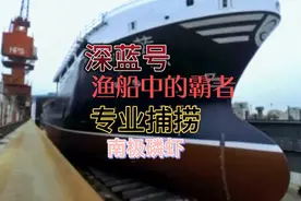 深蓝号，专业捕捞南极磷虾，带你去看国内远洋渔业发展和前景！视频封面