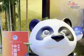 记者手记vlog｜这里是“坐地日行八万里”的进博会！视频封面