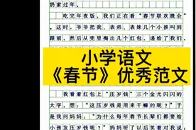 关于《春节》的优秀范文视频封面