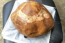 一块自然造型画面太美的风水鹅卵石！几十斤大摆件！视频封面