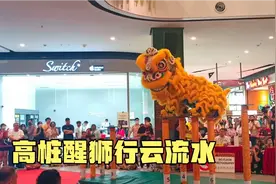 这只醒狮高桩漂移转圈，侧空翻下桩……高难度动作玩的太溜了视频封面