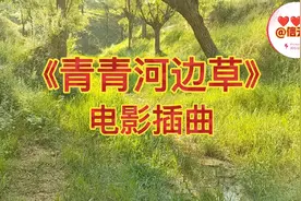 《青青河边草》电影插曲经典老歌，小视频这条新路，你了解多视频封面