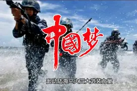 《远火》---为解放台湾准备的利器视频封面