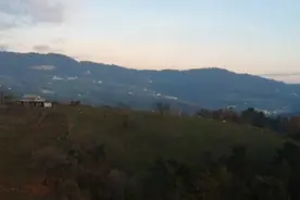 龙应台感人文章《目送》，孩子慢慢长大，父母却慢慢老去视频封面