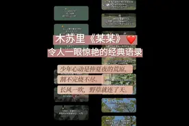 〖摘抄〗| 木苏里《某某》❤️令人一眼惊艳的经典语录视频封面