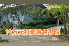 10万元打造农村小院，祖上宅基地简单修建，绿色舒适养老小环境视频封面