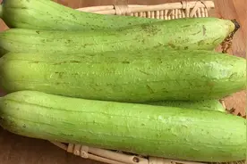 炒丝瓜最家常最经典的做法，翠绿不发黑香嫩入味，清爽不油腻。视频封面