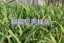 聊聊贝壳找房，房产网络平台视频封面