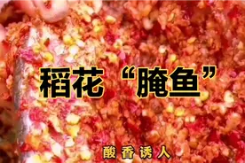 农村人用坛子把稻花鱼腌制成酸辣鱼色泽暗红酸香诱人方法你知道吗视频封面