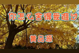 对你的思念是一天又一天。。。听黄品源深情演唱你怎么舍得我难过视频封面