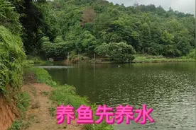 鱼塘水如何调才能翠绿色？鱼塘有这几个缺陷。浪费钱又没效果视频封面