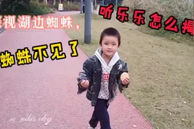 探视湖边蜘蛛，蜘蛛不见了，听乐乐怎么揭秘