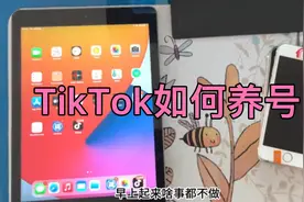 TikTok撸创作者基金，如何养号？视频封面