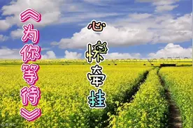 站在连绵的山脉，《为你等待》，为你牵挂！视频封面