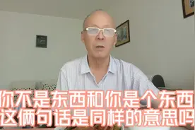 如果说：你不是东西这句话是骂人，那你是个东西也是骂人的话吗？视频封面