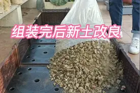 楼顶种菜上瘾了，又买了一个种植箱，来看我怎么配制新土壤视频封面
