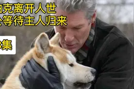 八公察觉帕克身体异常，用最不喜欢的捡球游戏，挽留帕克视频封面
