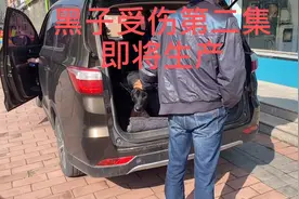 片子还没拍，羊水破了，即将生产视频封面