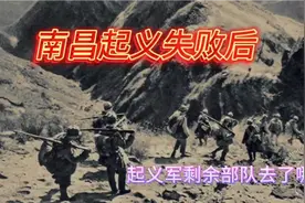 南昌起义后起义军剩余部队去了哪里？视频封面