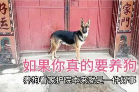 我劝你不要养公狗，因为它身上有这6点坏处，真的是好可怕视频封面