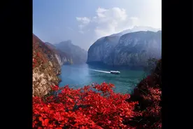 节录毛泽东诗词之二十七～不管风吹雨打，胜似闲庭信步～化旭隶书视频封面