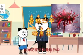 （曼珠沙华）彼岸花背后的故事，希望你不要懂视频封面