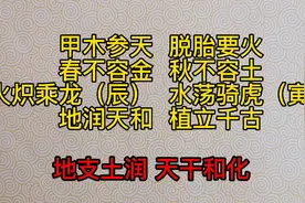 正五行之甲木