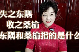 失之东隅收之桑榆，说的是什么意思，其中东隅和桑榆指的是什么呢视频封面