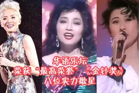 华语乐坛，获得“最高荣誉”《金针奖》的八位实力歌手。视频封面