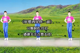 广场舞《好想再见你一面》希望在你没有忘掉我之前 歌词句句痴情视频封面