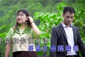 云南山歌《夫妻和睦过一生》品锅，罗碧对唱视频封面