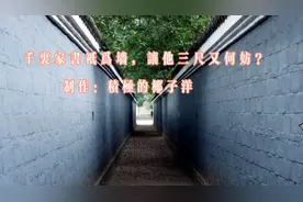 “千里家书只为墙，让他三尺又何妨？”耳熟能详的家书诗句出自哪视频封面