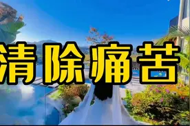 人痛苦的时候要如何做才能令痛苦减轻呢？希望您看完本视频会释怀视频封面