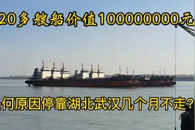实拍武汉停泊20多艘价值1亿元货船几个月不走为何？原因让人惋惜视频封面