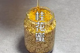 制作桂花蜜不要水洗不用晾晒，掌握这两点就能做出最纯正的桂花蜜视频封面