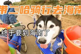 小伙穷游去海南，为了带着二哈旅行，一路用脚踩三轮车视频封面