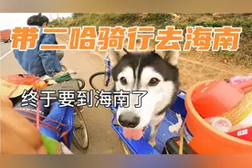 小伙穷游去海南，为了带着二哈旅行，一路用脚踩三轮车视频封面