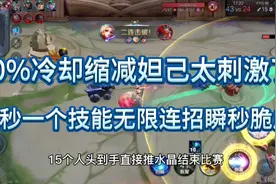 “40%冷却吸血流”妲己，三秒一个技能无限连招满血脆皮瞬间没了视频封面