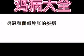 常见鸡病大全，养殖朋友收藏视频封面