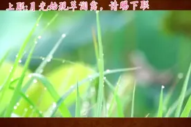 轻音乐诗词对联，上联:杨柳飞花,平地上滚将春去，请大家对下联？视频封面