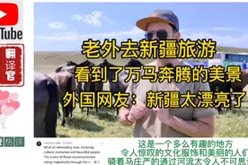 老外去新疆看到了万马奔腾的美景，外国网友：新疆太漂亮了视频封面