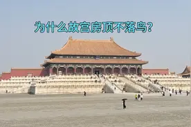 为什么故宫的房顶上不落鸟，感叹古代工匠的智慧，今天明白了视频封面