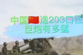 中国🇨🇳造203口径巨炮有多猛视频封面