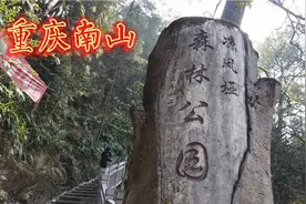 改造后的重庆凉风垭森林公园，全新的石板步道，新建五座休息长廊视频封面