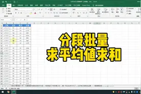 Excel分段批量求平均值求和视频封面