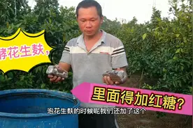 要想花生麸肥效更好，发酵的正确方法，里面一定得加2样东西！视频封面