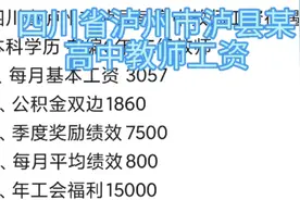 四川省泸州市泸县某高中教师工资待遇本科学历 在编6年 二级教师视频封面