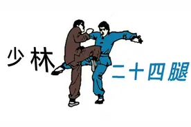 少林二十四腿动画视频封面