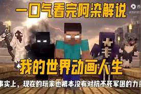 史蒂夫的一生视频封面